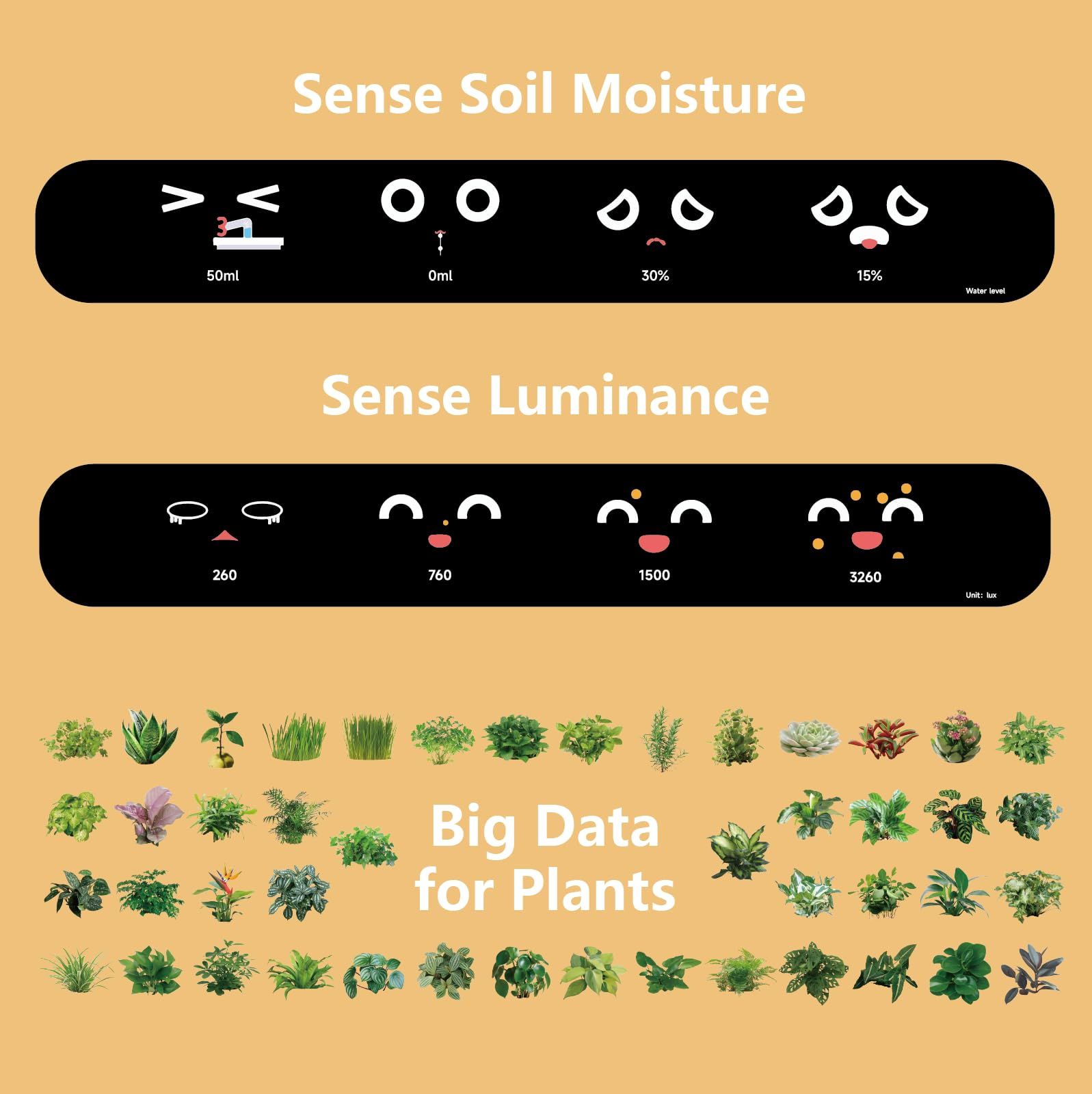絵文字付き植物のケア