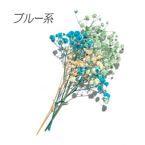 ドライフラワー カスミソウ かすみ草 色別 アソート レジン 封入