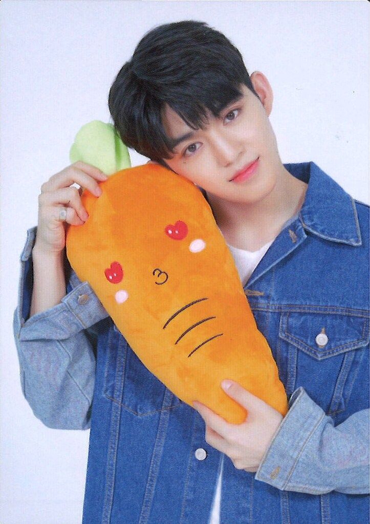 SEVENTEEN 2019 ’HARU‘ 新品未開封　トレカ　10パック SEVENTEEN - SEVENTEEN ミンギュ HARU トレカの通販 by りり's