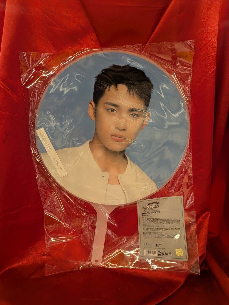 SEVENTEEN 2024 FOLLOW AGAIN TO JAPAN MINGYU IMAGE PICKET