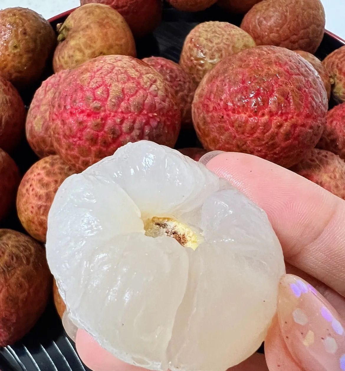 新鮮ライチ