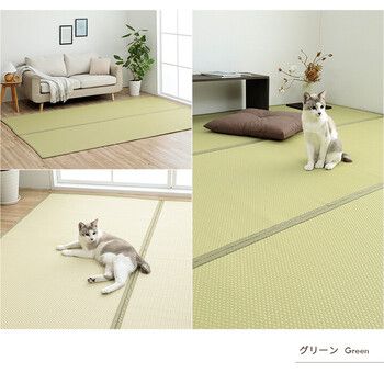 ござ 約261×261cm