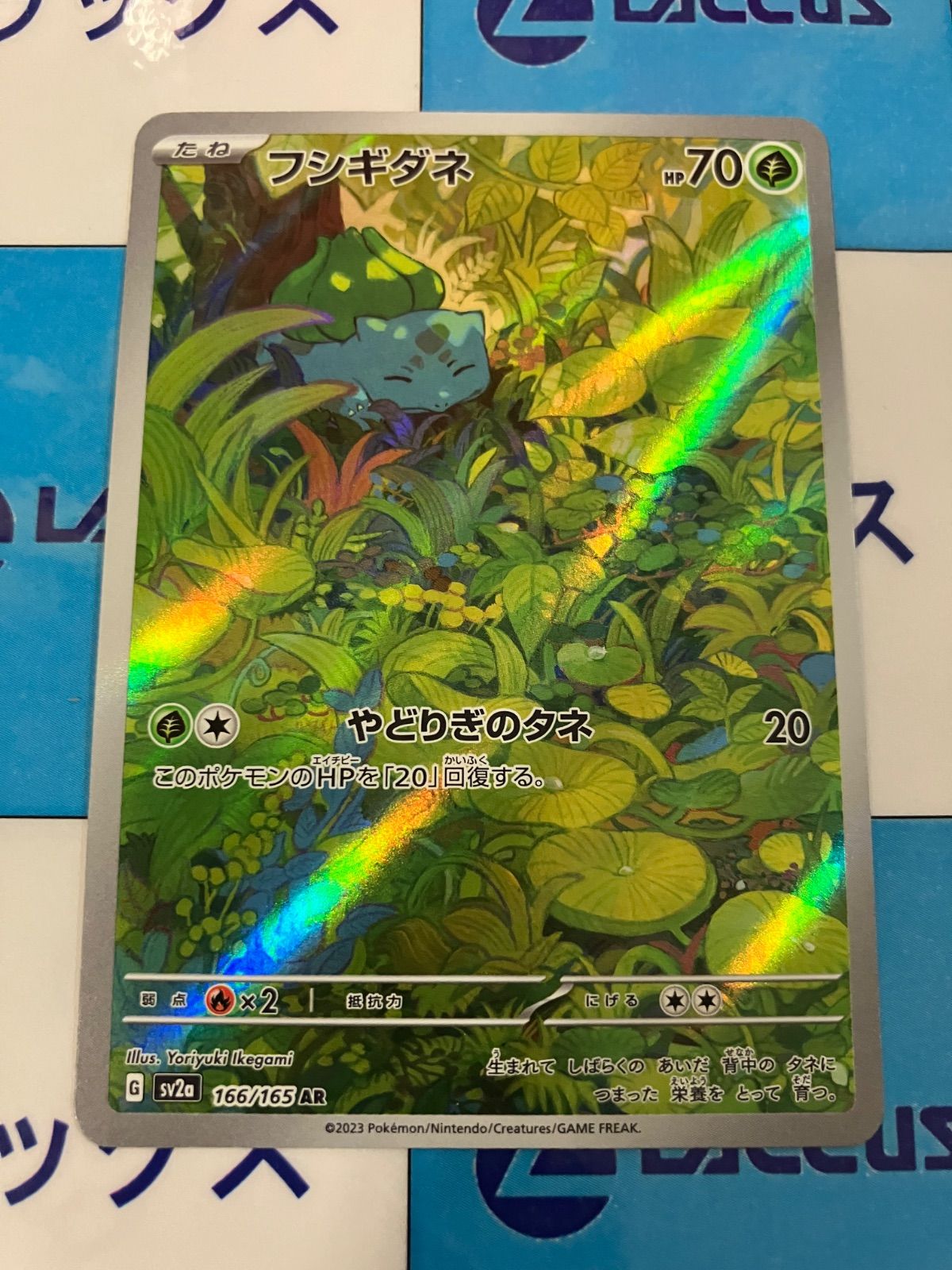 ポケモンカード　AR　166種　コンプリート ポケモンカード151 AR】フシギダネ 166/165 - マナソース