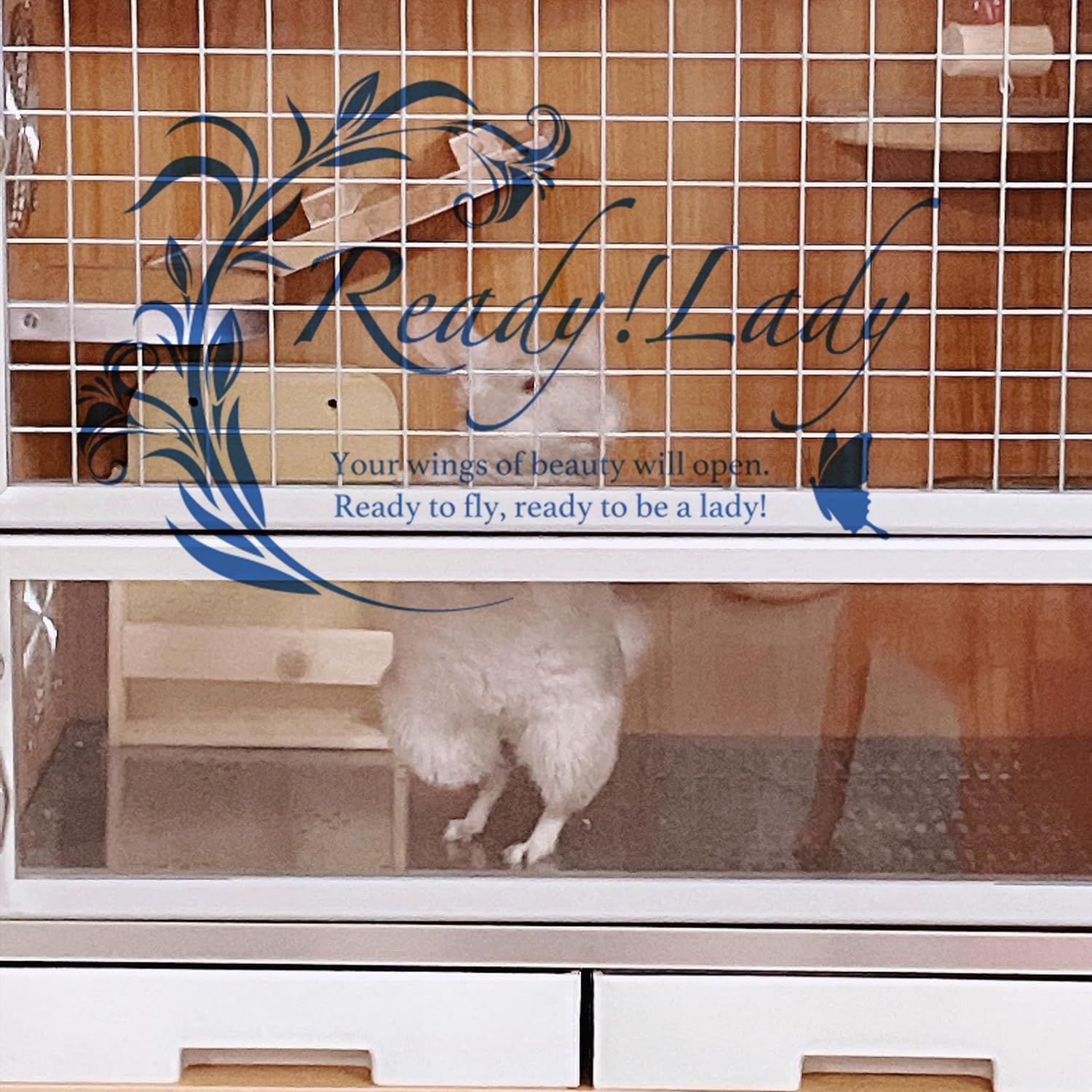 小動物 ケージ