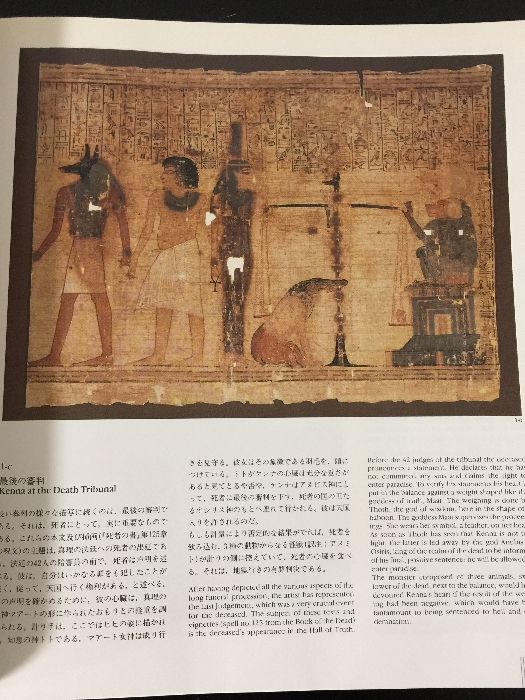 古代エジプト＆四大文明　DVD16点・関連書籍8冊・展覧会図録5冊　セット 51FCi+YljrL._UF350,350_QL50_.jpg