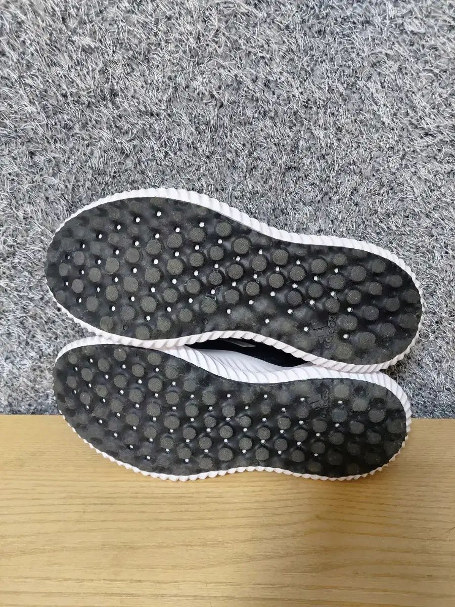 アルファ コンフィ