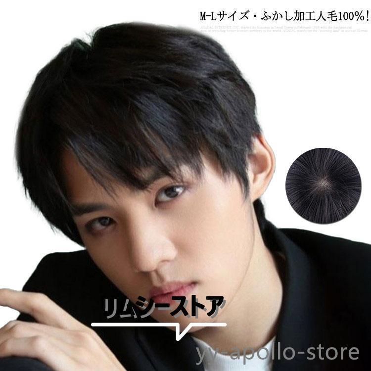 人毛100％! メンズウィッグ 男性用かつら メンズウイッグ 医療用