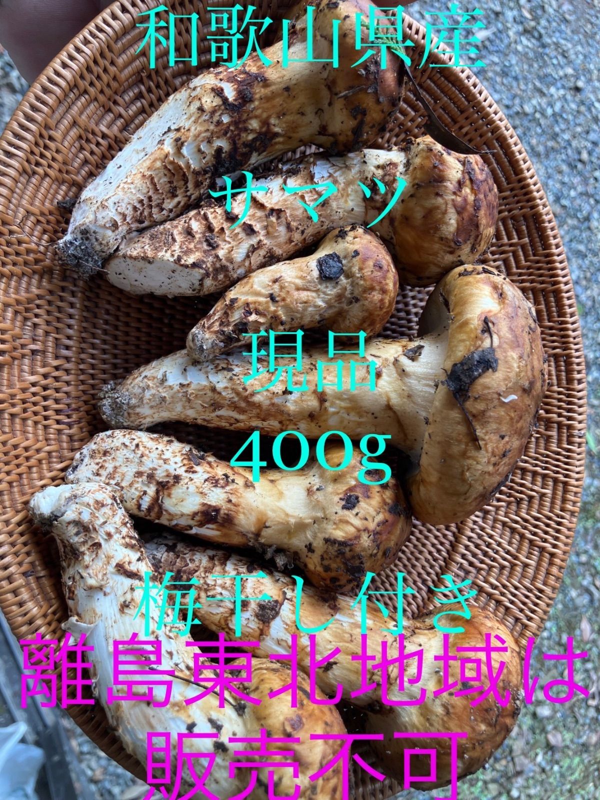 松茸【北海道産】400g