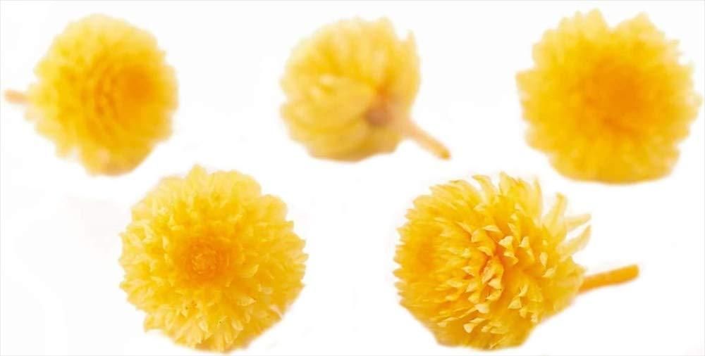【新品・5営業日で発送】大地農園 日本製 プリザーブドフラワー 千日紅 ヘッド 花サイズ約1～3cm・全長約2～4cm 30輪 ミモザイエロー