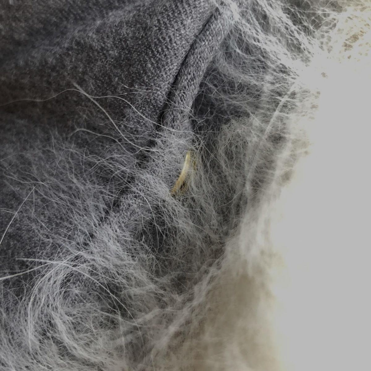 TATRAS(タトラス) ダウンベスト レディース - LTA19A4572 グレー×白  