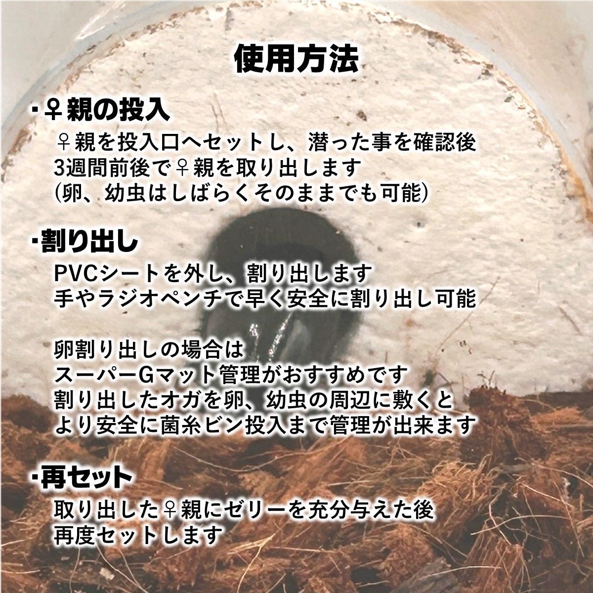 タランドゥス1♀54個採卵