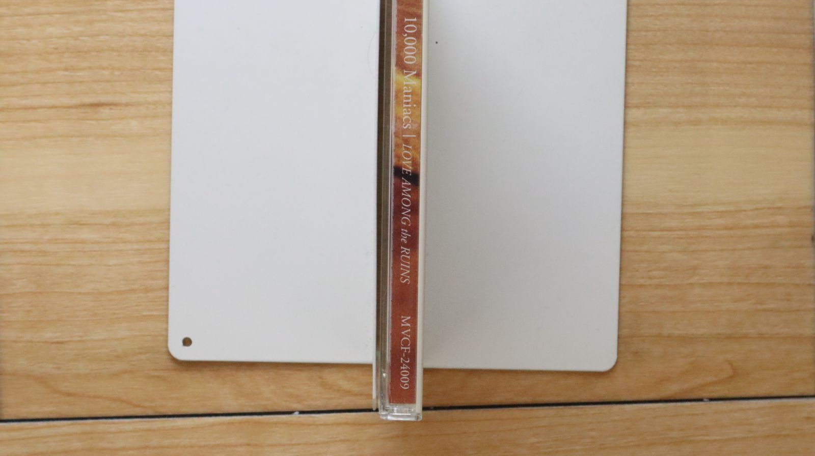 マニアック・ラヴのCD非売品 2024年12月のアーカイブ – BIG LOVE RECORDS