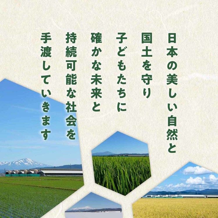 日本の米育ち金華豚･三元豚肩ロース特製味噌漬けギフト 8枚入