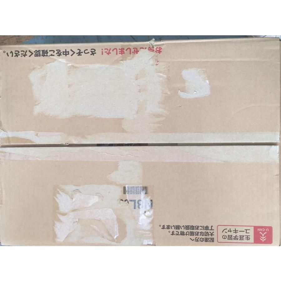 早割 リフト券 インボイス対応 未使用 ユーキャン ネイリスト講座 U-CAN その2 その他