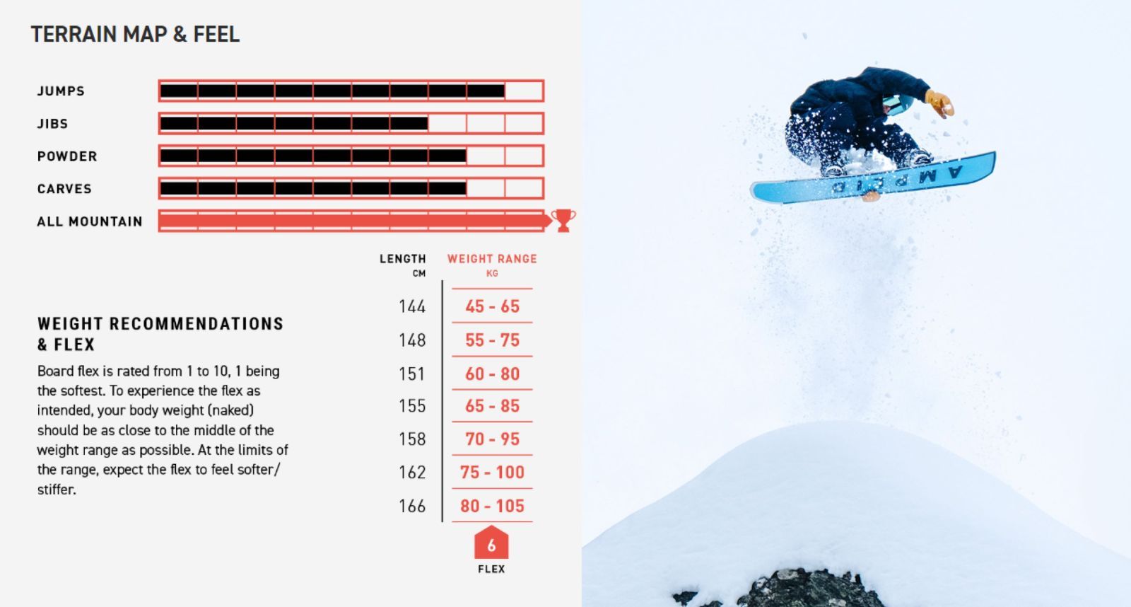 AMPLID SINGULAR 24-25モデル