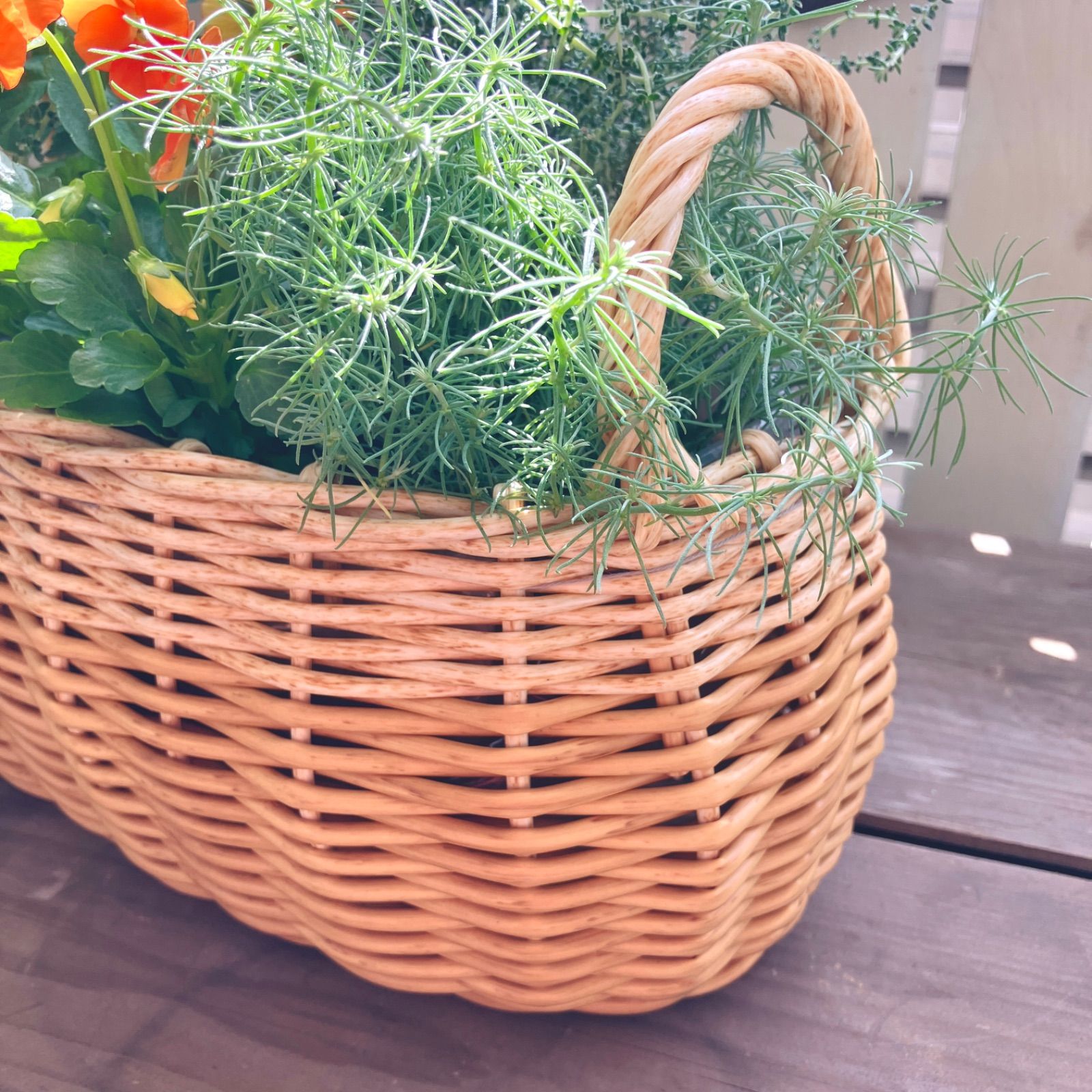 カゴバスケット鉢 花 寄せ植え ビニール付き 持ち手付き ナチュラル