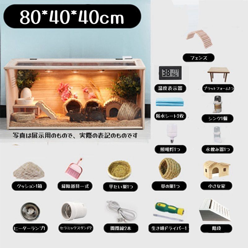 距離観察 育雛孵化餌やり