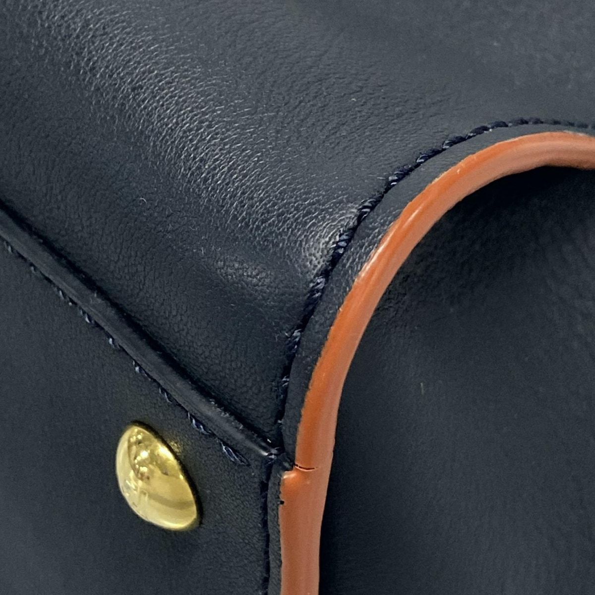 ピーカブーアイコニックミディアム 8BN290-5AV