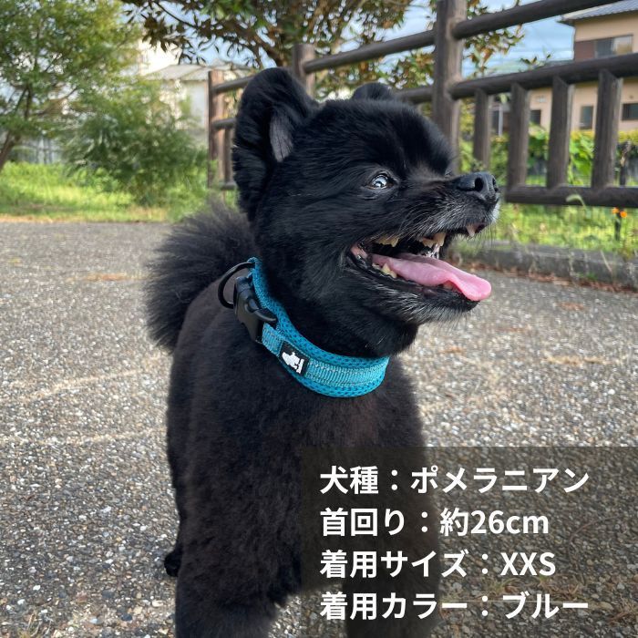 True Love リード 110cm | 散歩 反射布付き 犬 ペット 超小型犬 小型犬