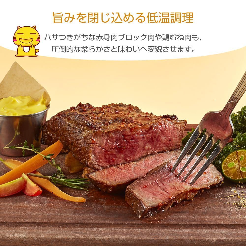 人気商品 タイマー 低音調理器 低温調理機 温度設定 クリップ式 タッチパネル IPX7防水 低温調理 レシピ付き スロークッカー 五重安心保護 真空調理器 低温調理器具 1100Wハイパワー APP遠隔操作 低温調理器 USTAUSTRALIA_COM_AU