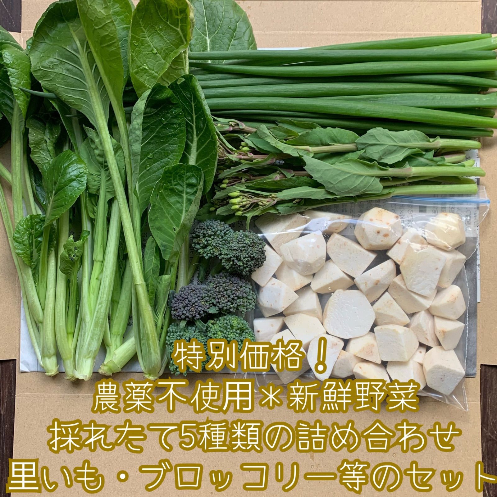 特別価格！農薬不使用＊新鮮野菜＊採れたて5種類の詰め合わせ＊里いも