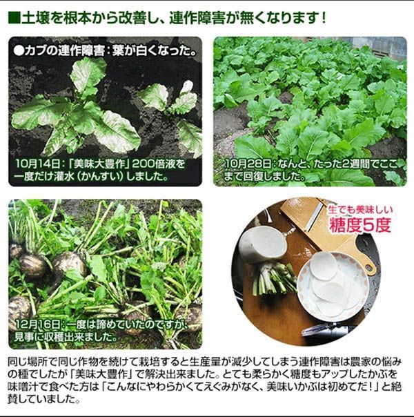 植物活力液 美味大豊作 GT-S 500ml 活性剤 天然成分 100% 収穫量 糖度 ...