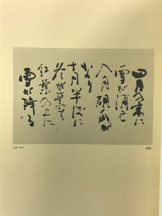 図録】水嶋山燿作品集 阪急百貨店 昭和56年
