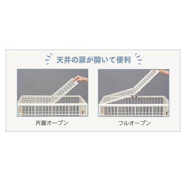 ゲージ