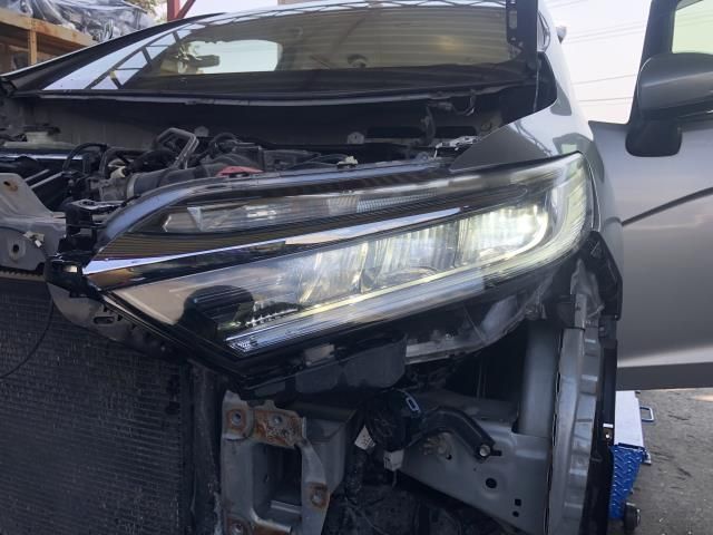 自社品番250500 色