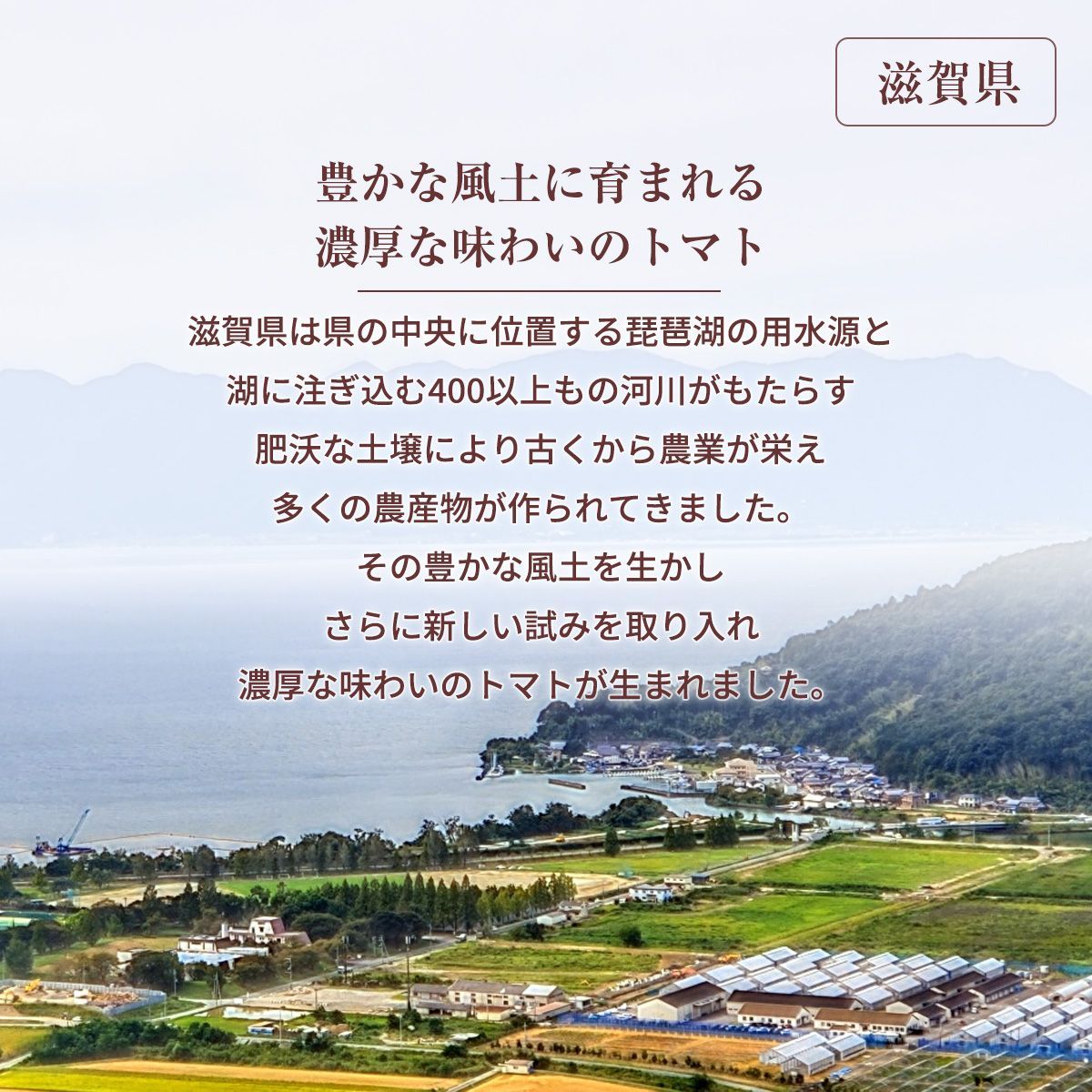 滋賀県 10月～7月の販売