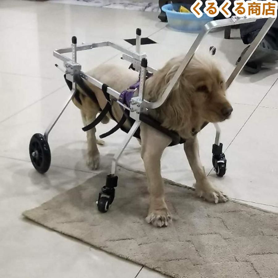 犬用歩行器 親友 - 犬車椅子調節 な4輪ステンレス鋼カートペット|猫犬車椅子後肢障害者用リハビリテーション 犬用車椅子M