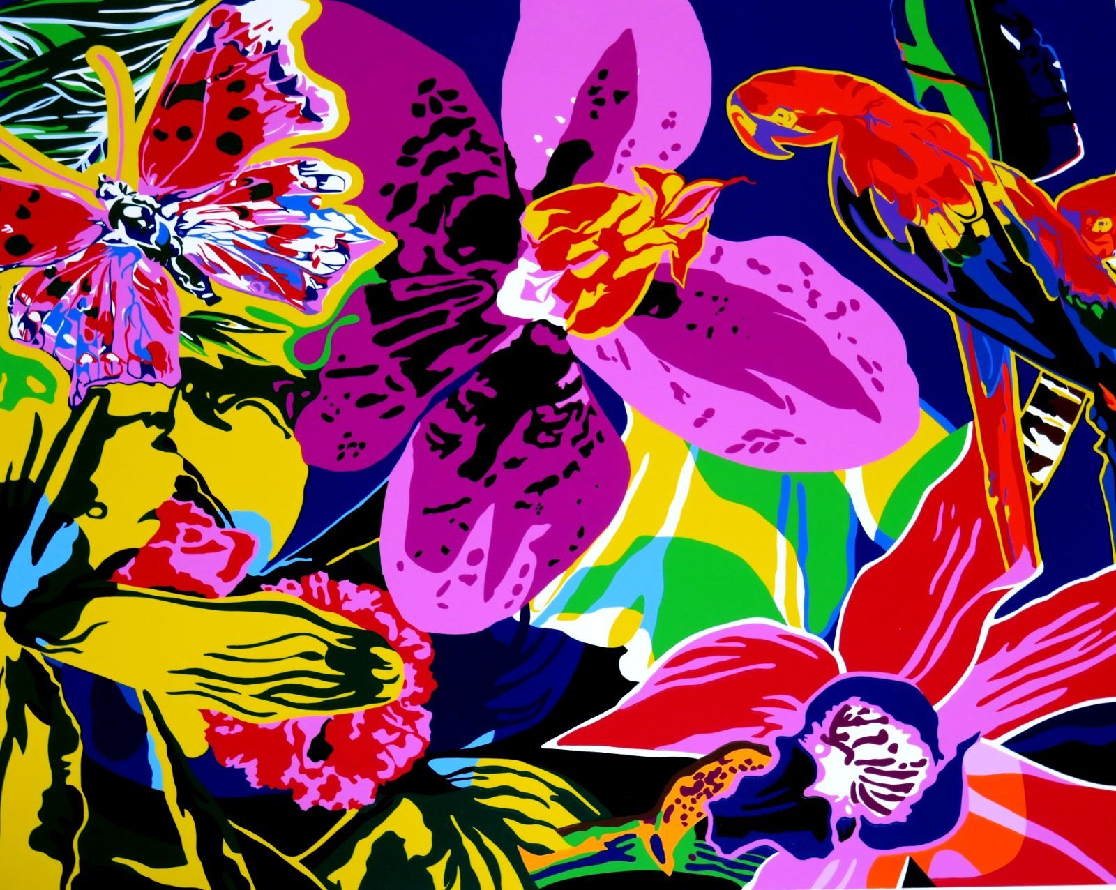 ヒロ・ヤマガタ】ハイビスカスシルクスクリーン山形博導額装可能