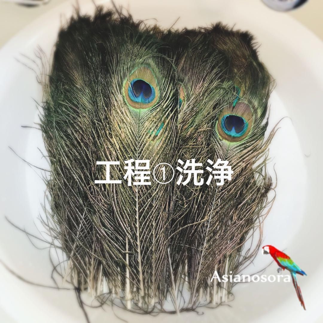 ❤️◾️⭐︎【クジャク3セット】白 孔雀の羽 剣 目玉 鳥の羽根 - メルカリ