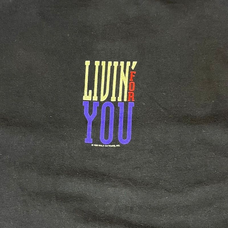 【即日配送】　雰囲気抜群　90s ボストン　BOSTON　vintage TEE 7596f689b8bbb42619a3d81af27156