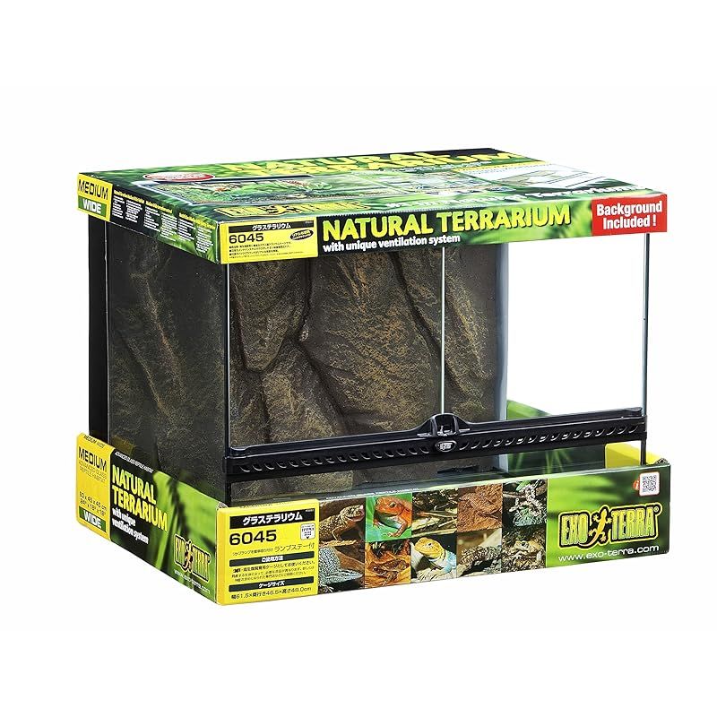 ジェックス エキゾテラ グラステラリウム 3030 爬虫類飼育ケージ
