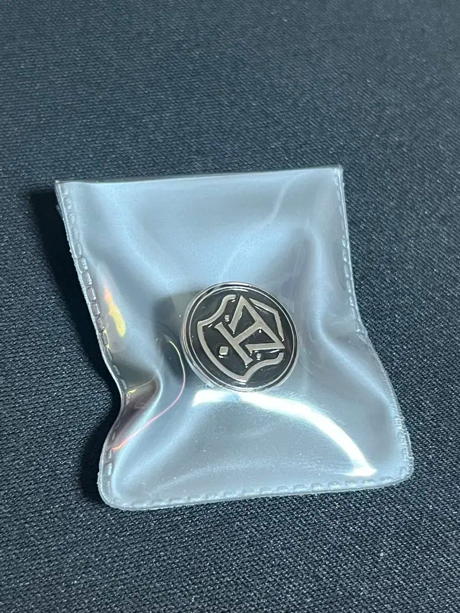 【雷市場（ポンジャン）商品韓国直送】 デビューできないと死ぬ病気にかかってしまいました TeSTAR 資金調達 グッズ バッジ
