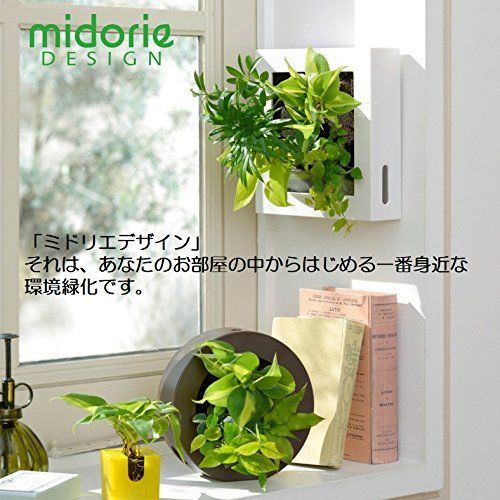 植栽おまかせ