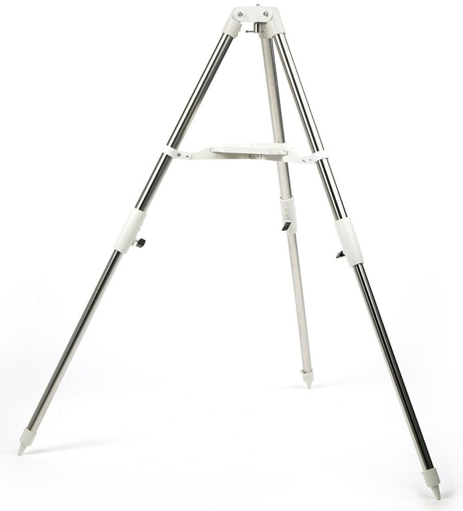 レア】渡邊雄太☆フェニックス・サンズ直筆サイン入りジャージ・カード