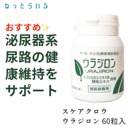 人気の福袋 限定価格セール！ 新品、未使用 ワンちゃん長生き