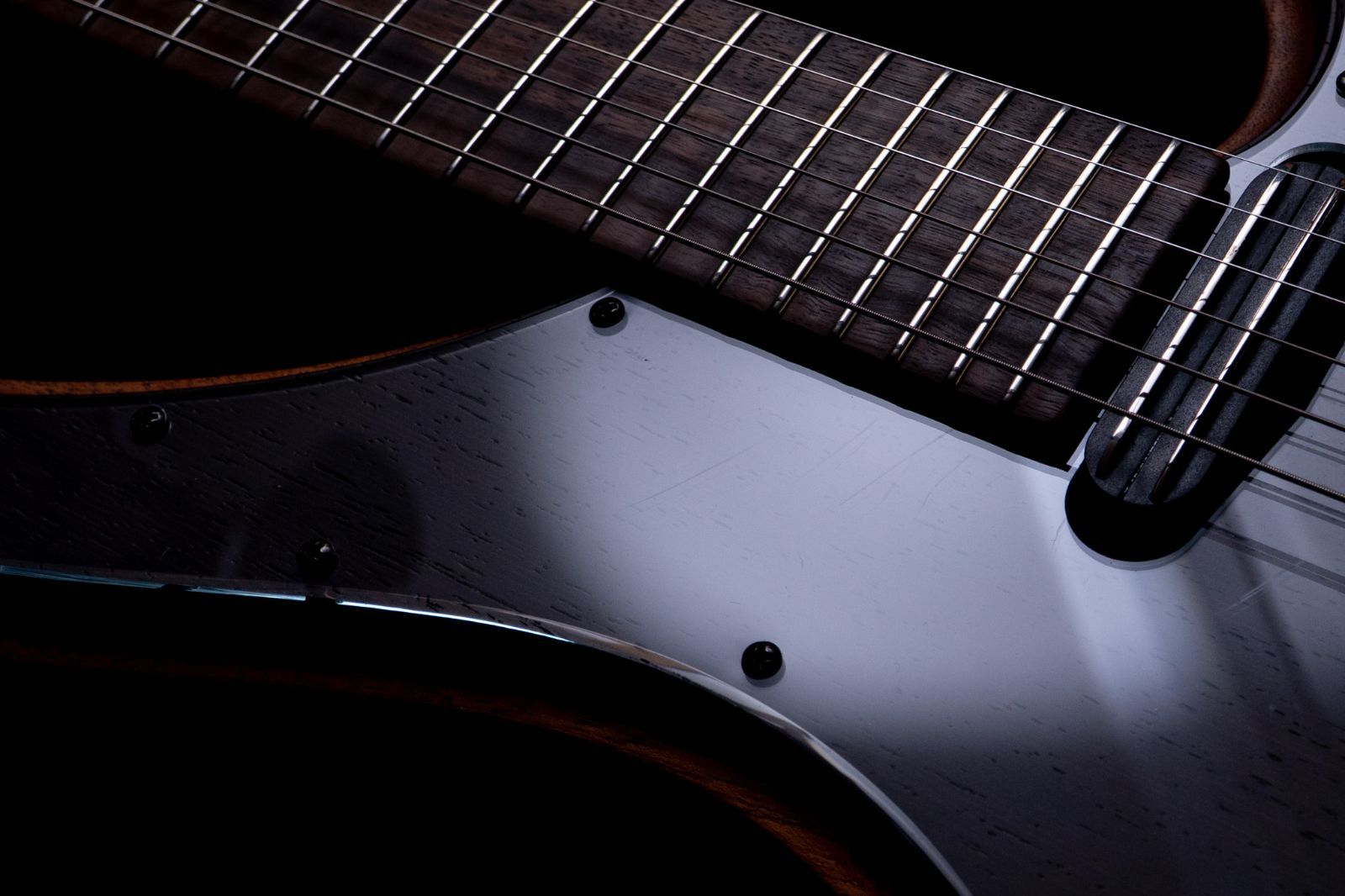 outlet】Seed by Sago / Kirin Custom 桜村眞(和楽器バンド/町屋)Model