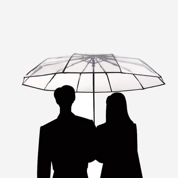 折りたたみ傘 10本骨 3つ折 折りたたみ式 自動開閉 ワンプッシュ 耐風 折り畳み傘 ジャンプ傘 雨傘 大きめ 大きい メンズ レディース 透 pLq 6811