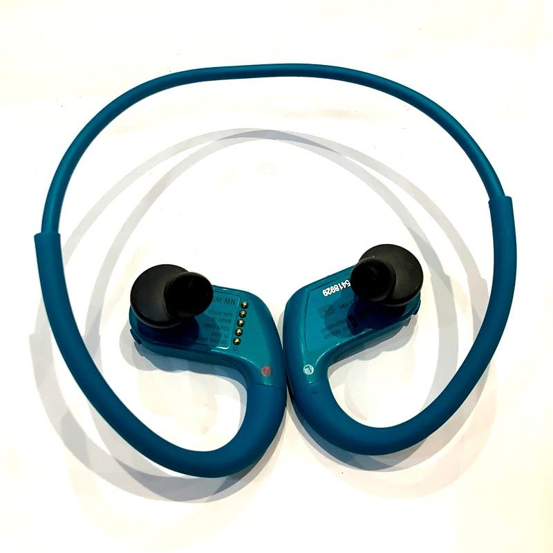 ソニー（SONY）NW-WS623 ポータブルオーディオウォークマン