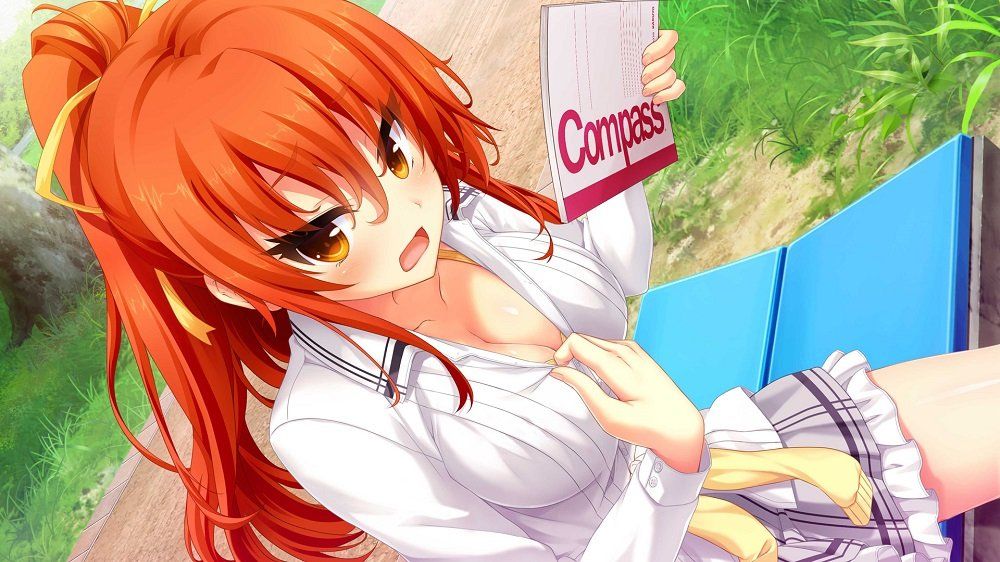 ノラと皇女と野良猫ハート
