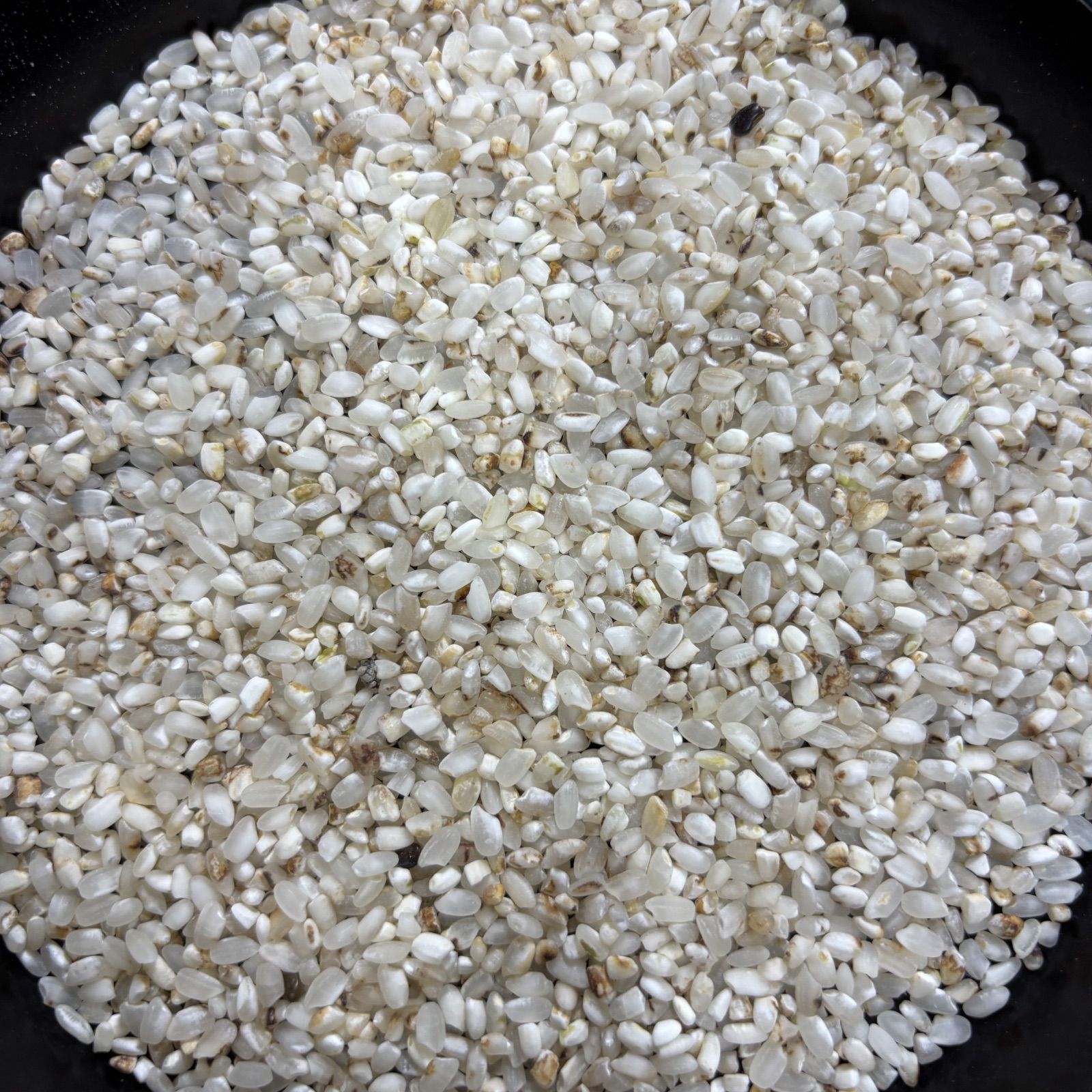 鳥餌 小動物 砕米10kg×2 （20キロ） 鳥餌 小動物 砕米10kg×2 （20キロ） 鳥餌 小動物 砕米20キロ｜