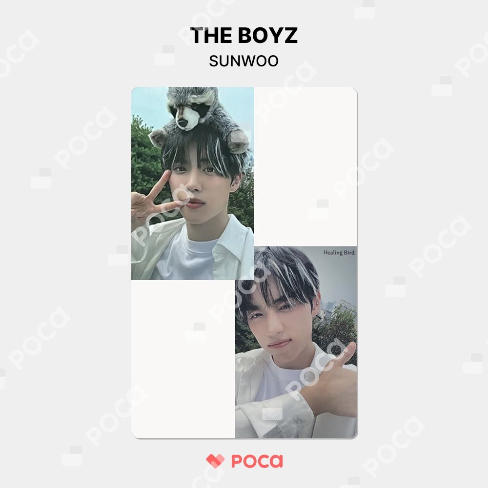 ソヌ トレカ ドボイズ healing bird THE BOYZ THE BOYZ ソヌ トレカ Healing Bird 公式 トレカ - メルカリ