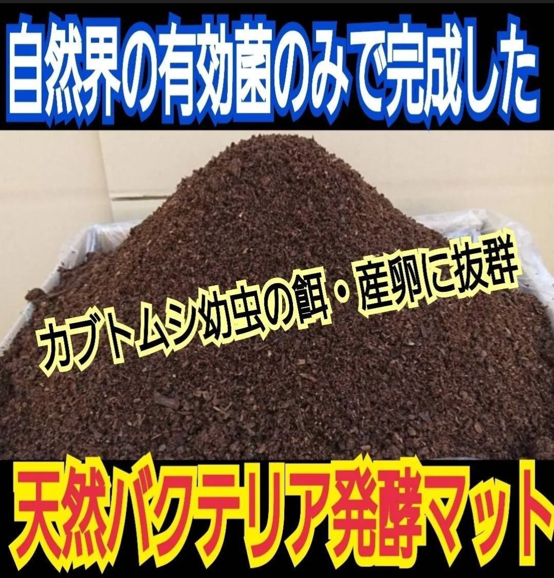 幼虫の餌