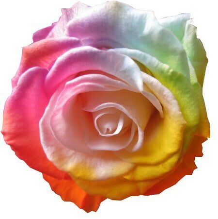 記念日の贈り物におすすめのフラワーギフト