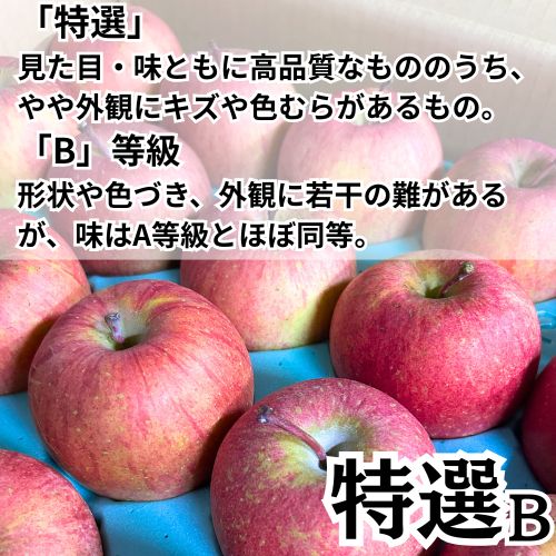 青森県産 特選