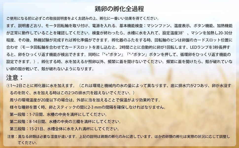 恒温孵化器