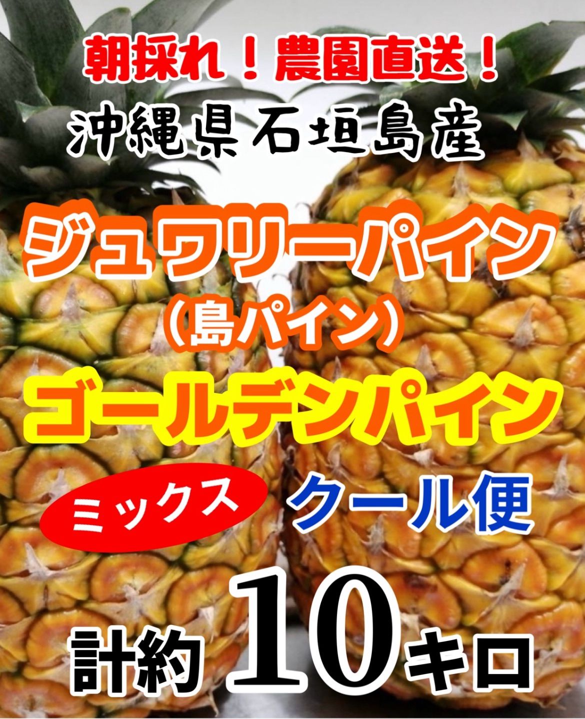 沖縄県石垣島産 ゴールデンパイン 約10キロ 沖縄県石垣島産ゴールデンパインジユワリーパインミックス計約10